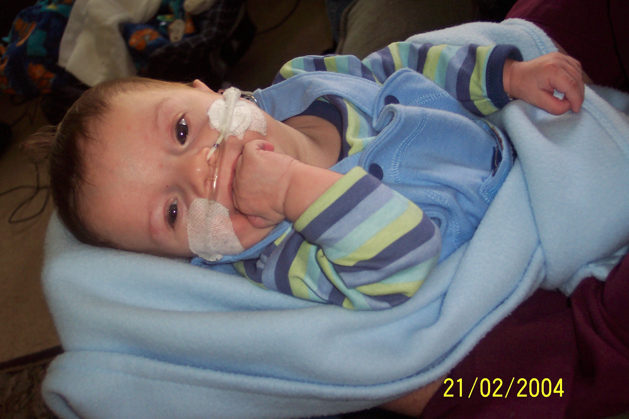 2138x1417 pixels (443K)